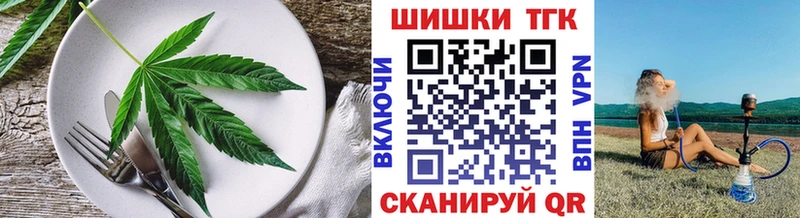 Купить где  Петухово  Cannafood конопля 