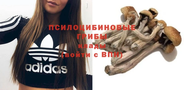 дживик Аркадак