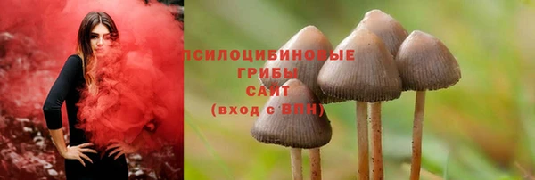дживик Аркадак
