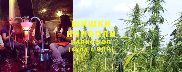 дживик Аркадак