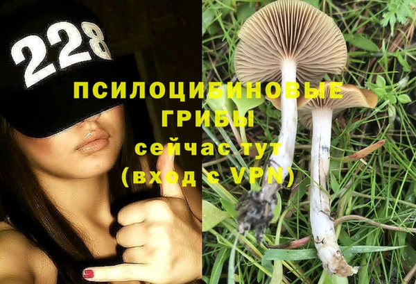 каннабис Арсеньев