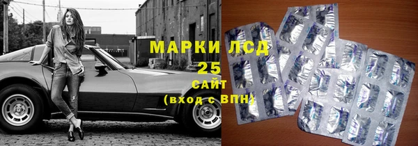дживик Аркадак