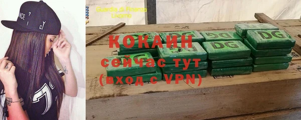 дживик Аркадак
