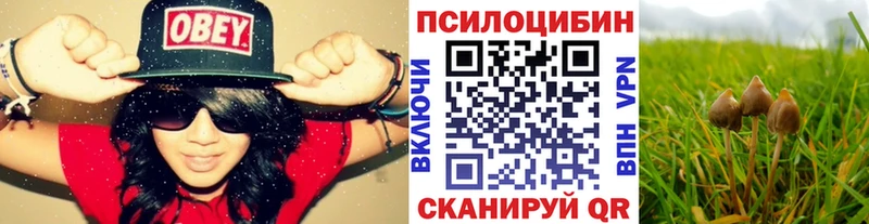 Купить где  Петухово  Псилоцибиновые грибы GOLDEN TEACHER 